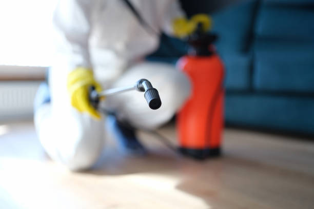 Environmental Consulting for Mold Prevention in Cridersville, OH